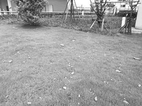 外墻保溫材料脫落