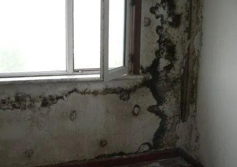 有機保溫材料和無機保溫材料易存在哪些質量問題?