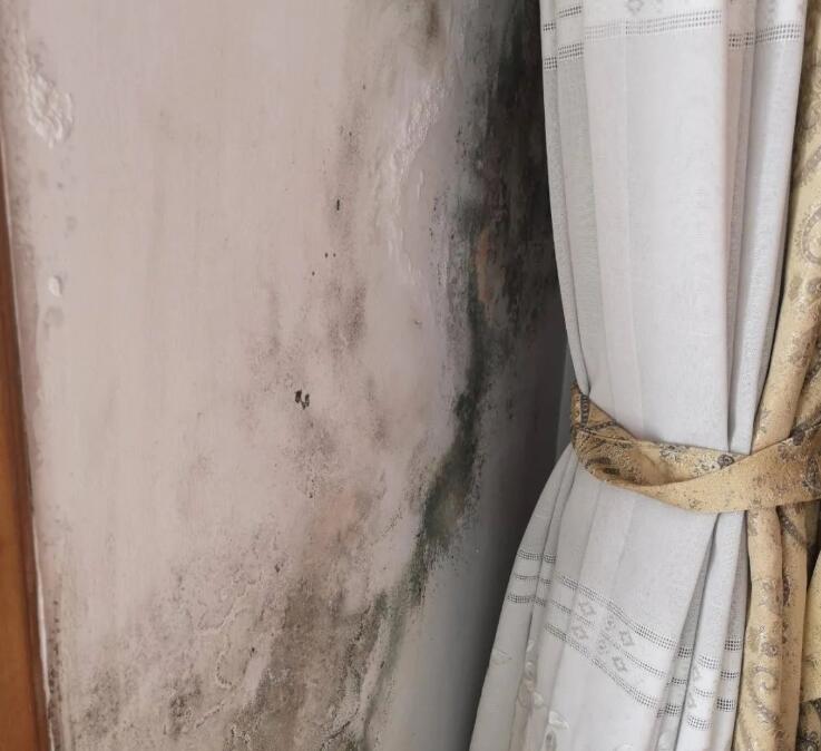 居民樓加裝外墻保溫,三伏天家中墻壁發(fā)霉,怎么回事?